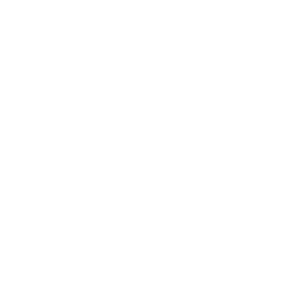 BSSM